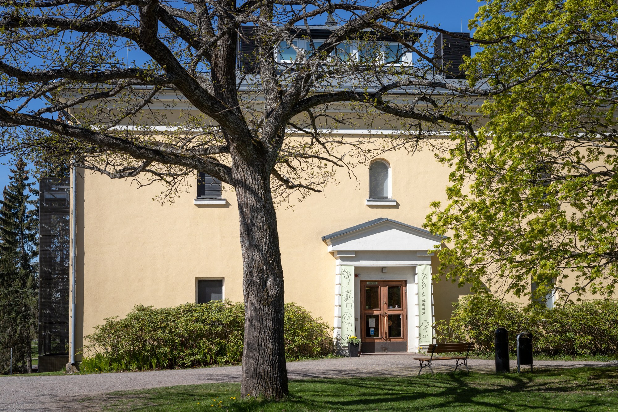 Miika Kangasniemi / H&auml;meenlinnan kaupunki